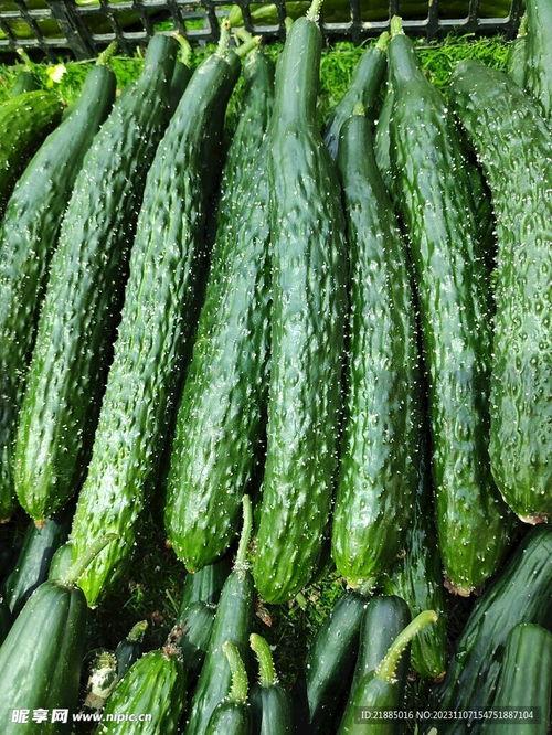 最新黄瓜爆料图片视频,高清图视频揭秘惊人真相!